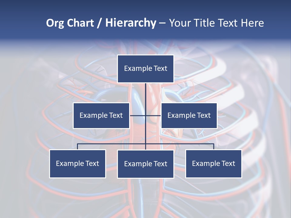 Patient Cardiology Vector PowerPoint Template