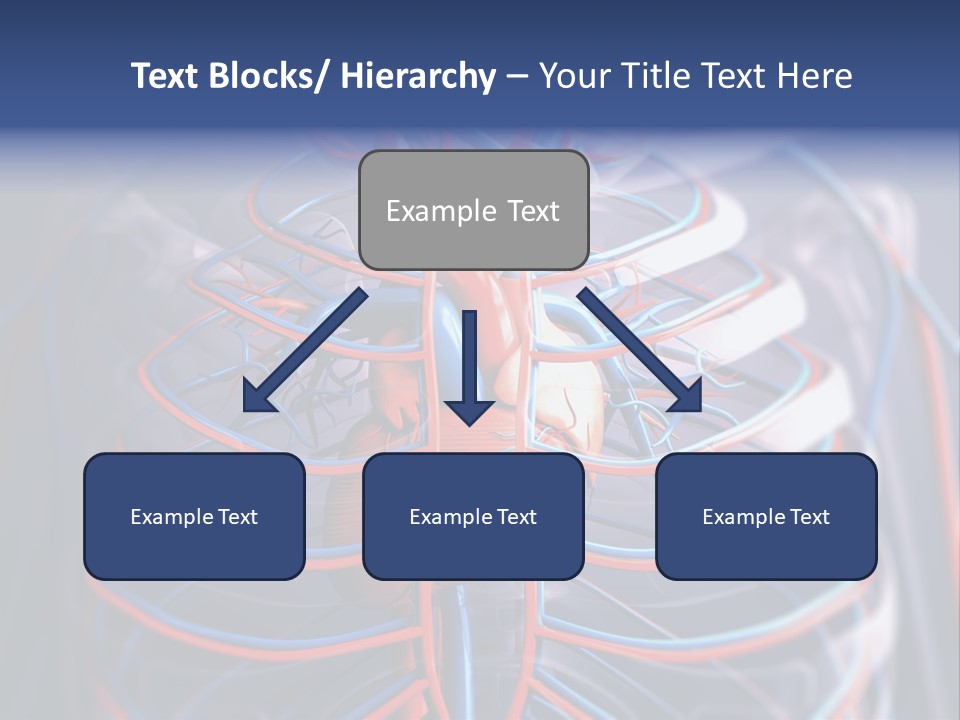 Patient Cardiology Vector PowerPoint Template