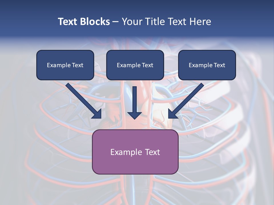 Patient Cardiology Vector PowerPoint Template
