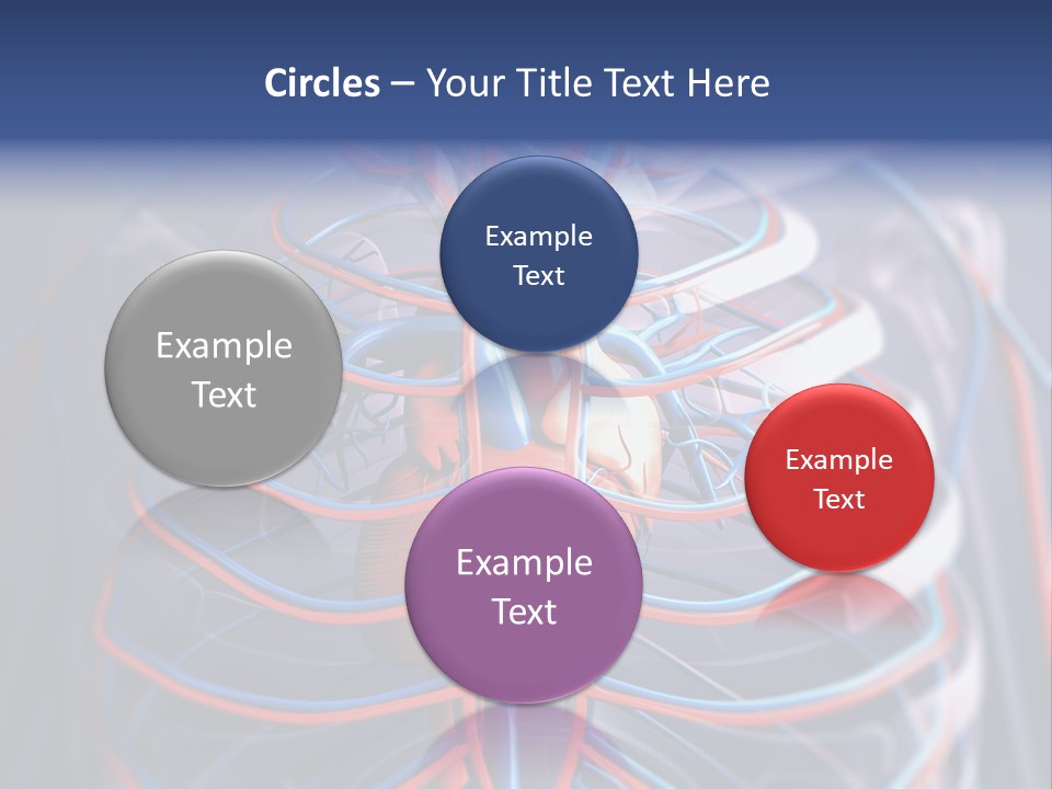 Patient Cardiology Vector PowerPoint Template