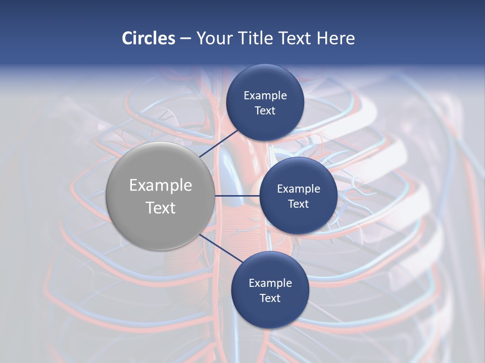 Patient Cardiology Vector PowerPoint Template