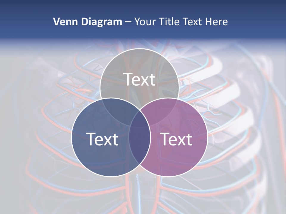 Patient Cardiology Vector PowerPoint Template
