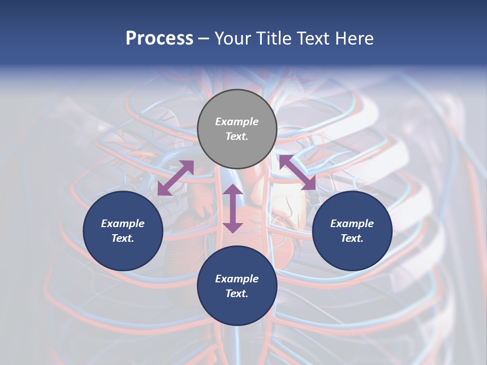 Patient Cardiology Vector PowerPoint Template