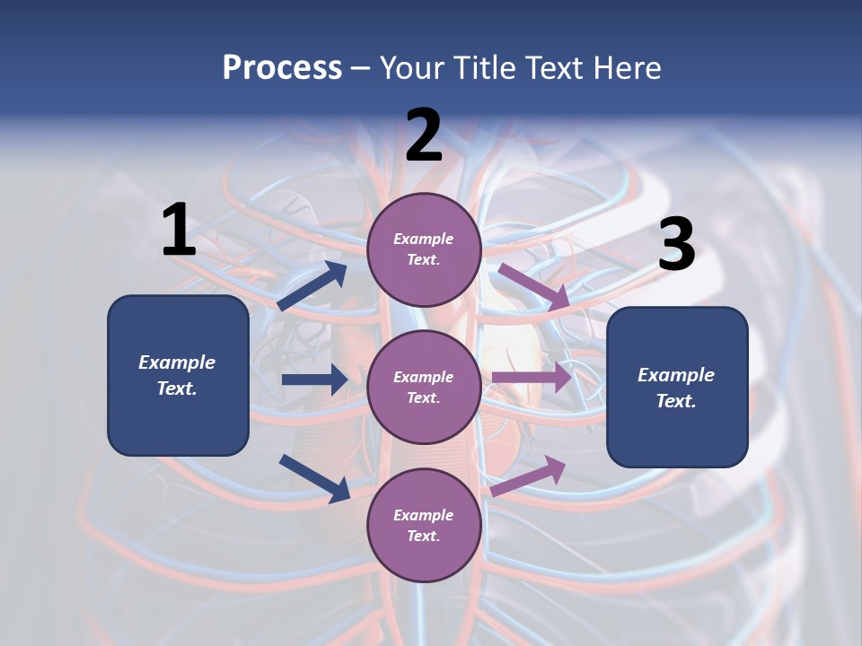 Patient Cardiology Vector PowerPoint Template