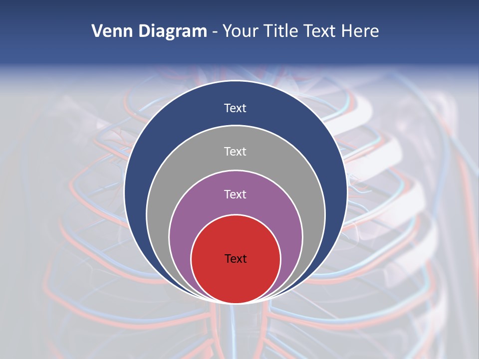 Patient Cardiology Vector PowerPoint Template
