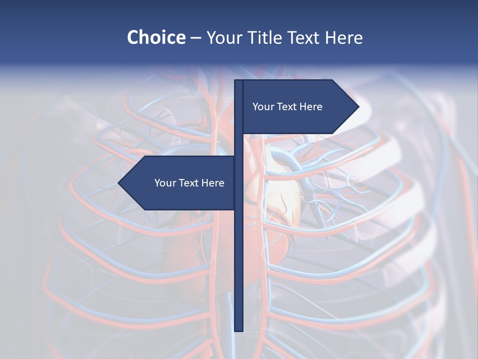 Patient Cardiology Vector PowerPoint Template