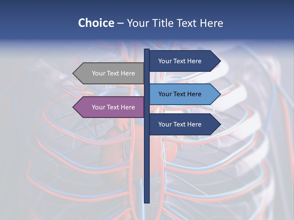 Patient Cardiology Vector PowerPoint Template