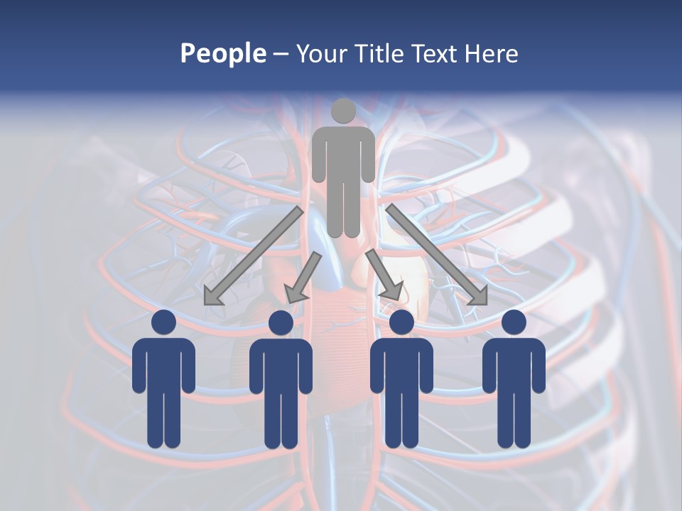 Patient Cardiology Vector PowerPoint Template