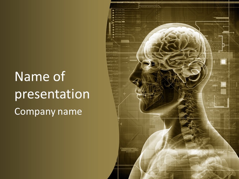 Anatomy Brain Cortex PowerPoint Template