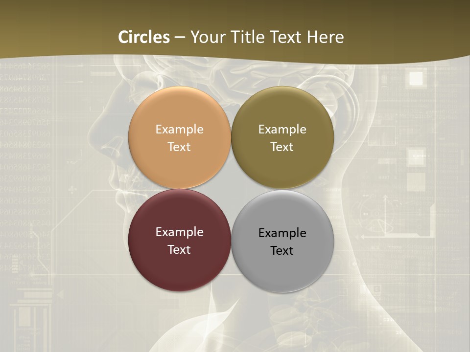 Anatomy Brain Cortex PowerPoint Template