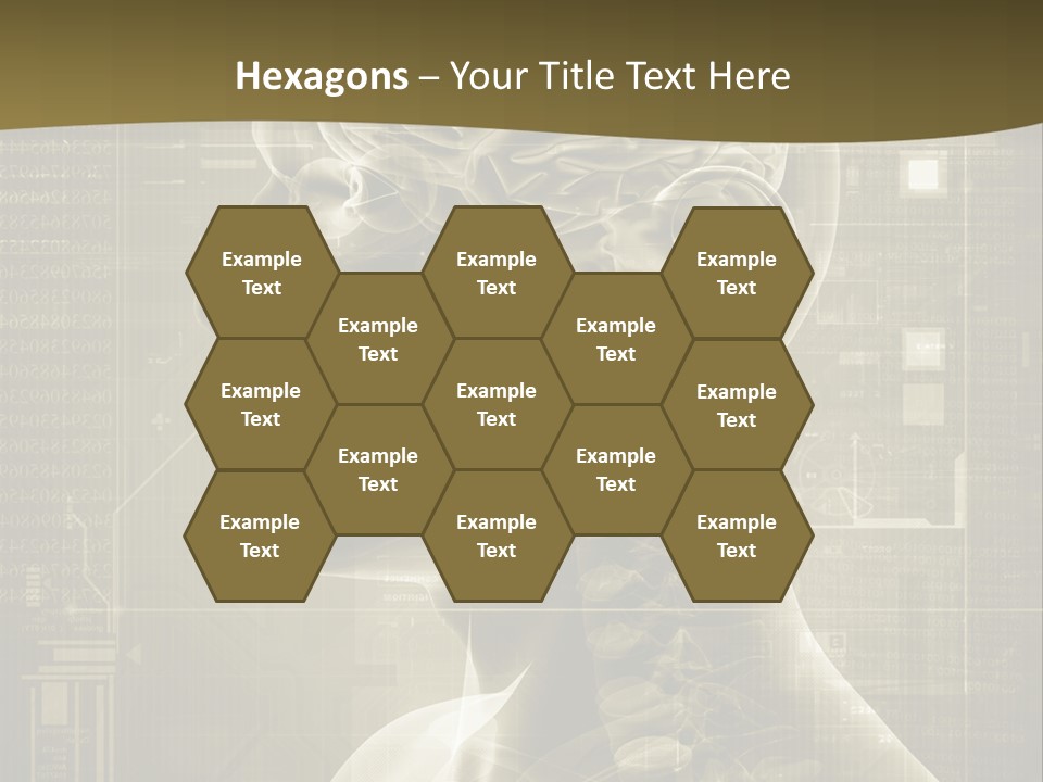 Anatomy Brain Cortex PowerPoint Template