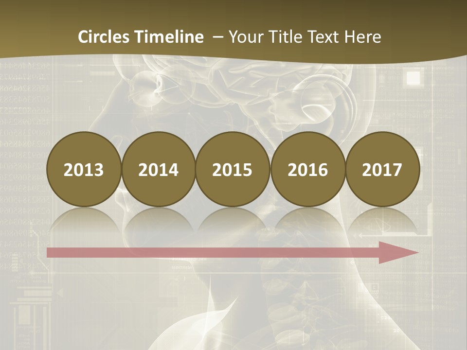 Anatomy Brain Cortex PowerPoint Template