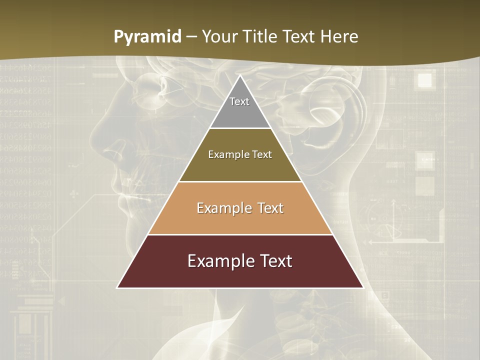 Anatomy Brain Cortex PowerPoint Template
