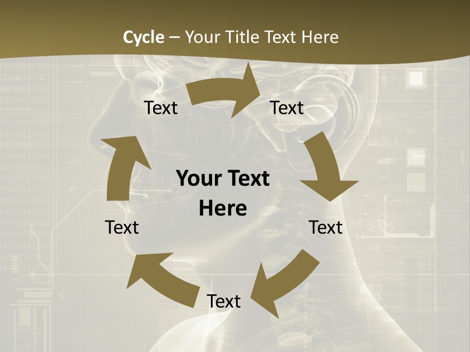 Anatomy Brain Cortex PowerPoint Template