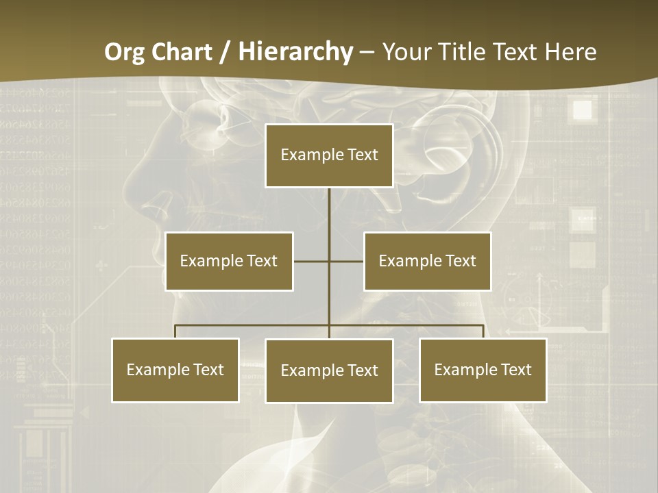 Anatomy Brain Cortex PowerPoint Template