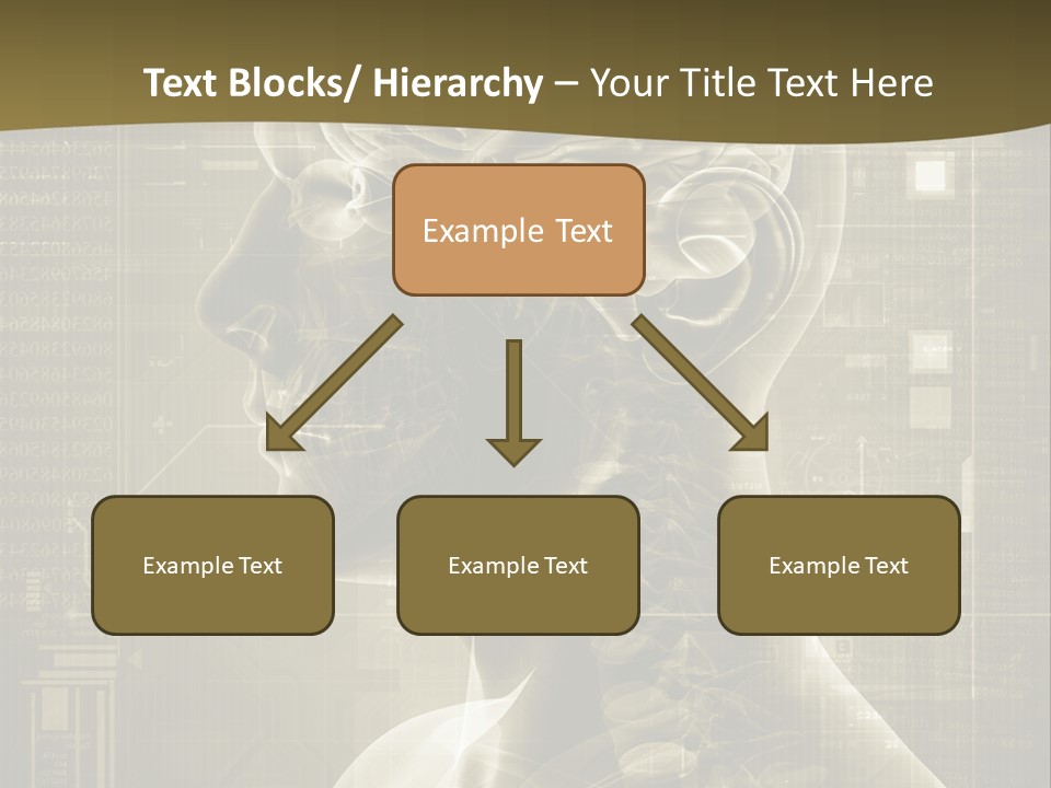 Anatomy Brain Cortex PowerPoint Template