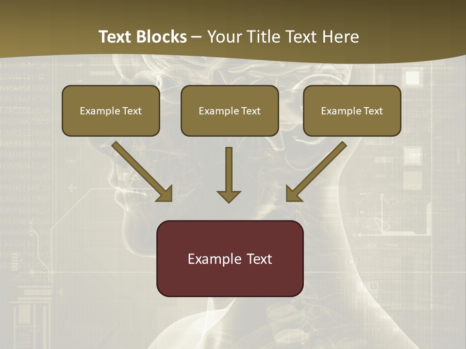 Anatomy Brain Cortex PowerPoint Template