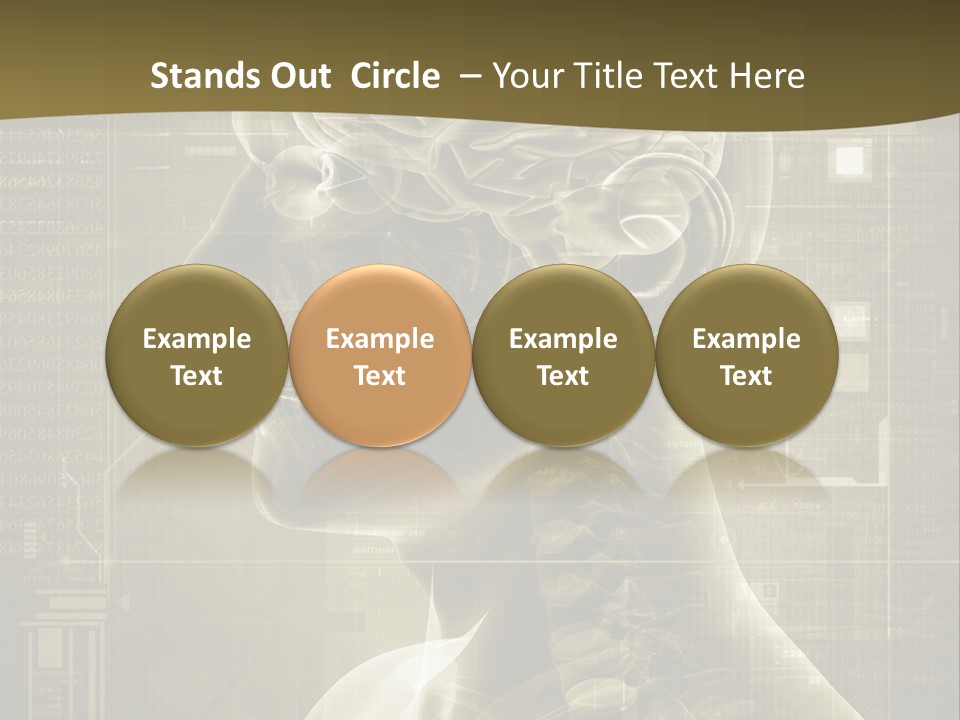 Anatomy Brain Cortex PowerPoint Template