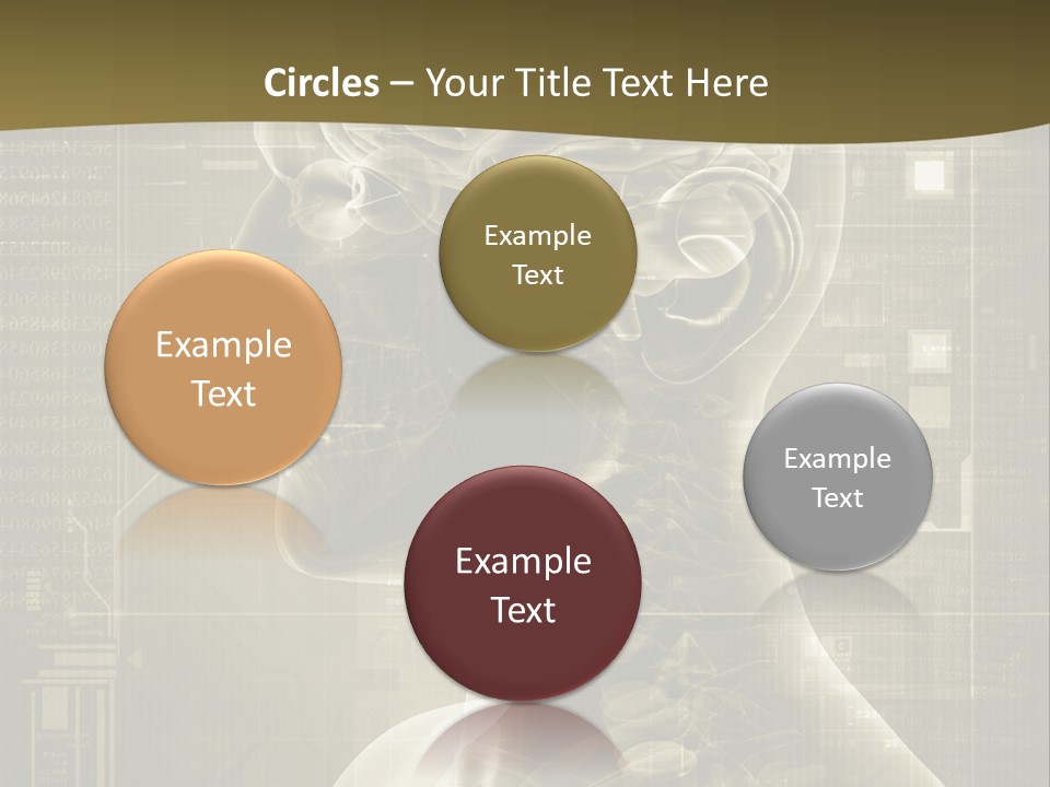 Anatomy Brain Cortex PowerPoint Template