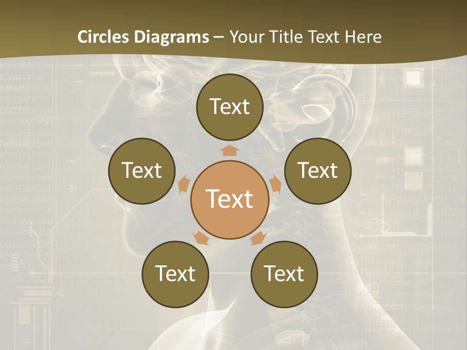 Anatomy Brain Cortex PowerPoint Template
