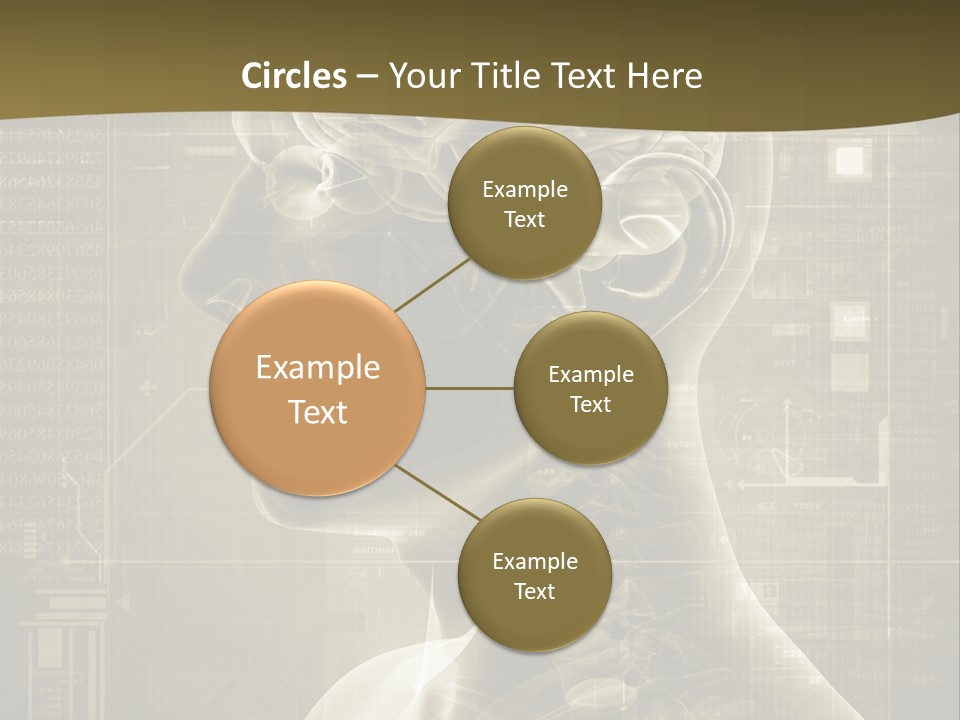 Anatomy Brain Cortex PowerPoint Template