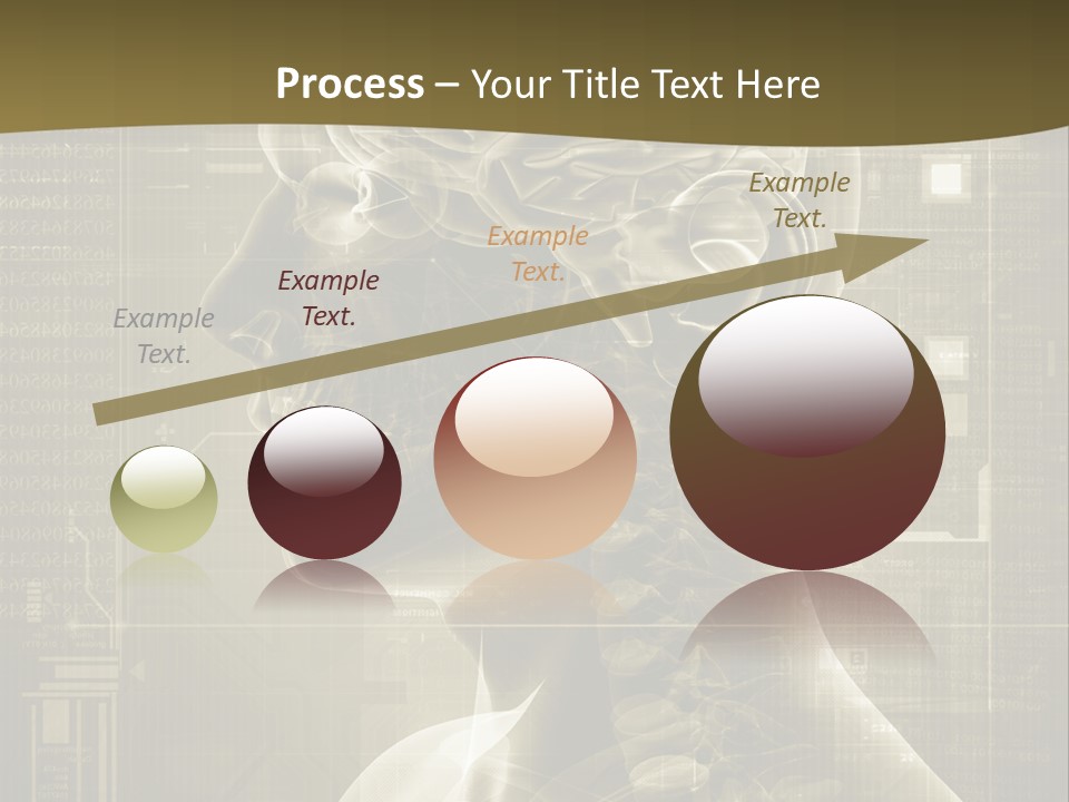 Anatomy Brain Cortex PowerPoint Template