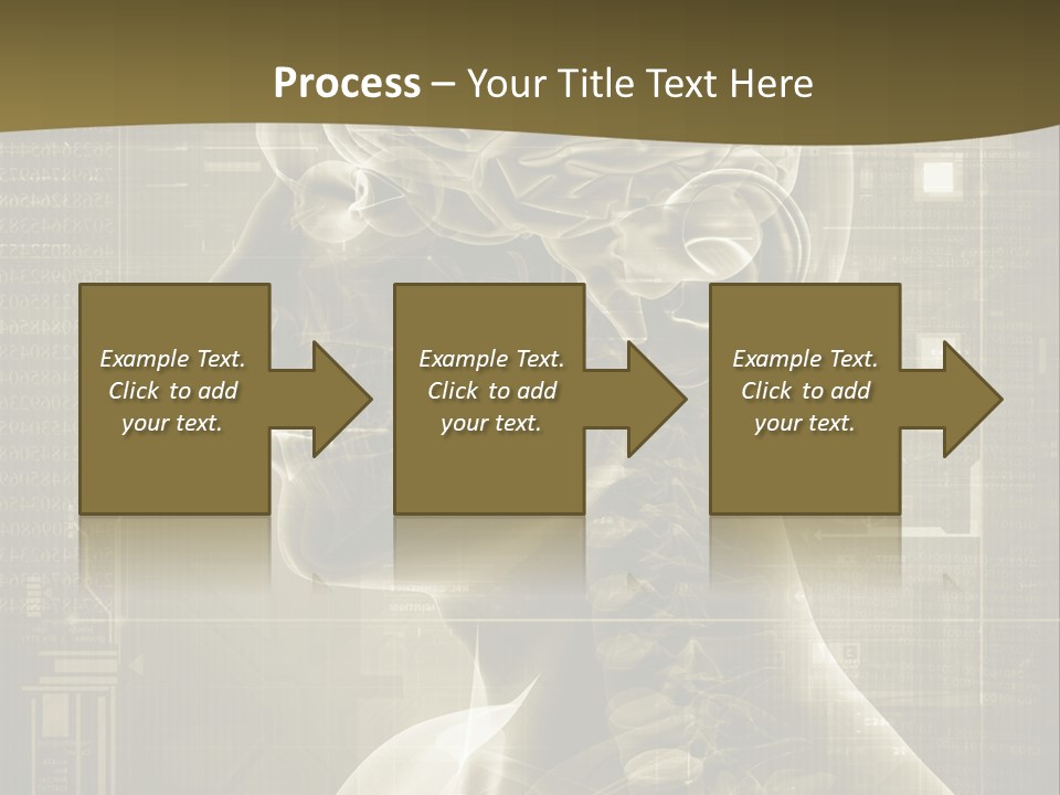 Anatomy Brain Cortex PowerPoint Template