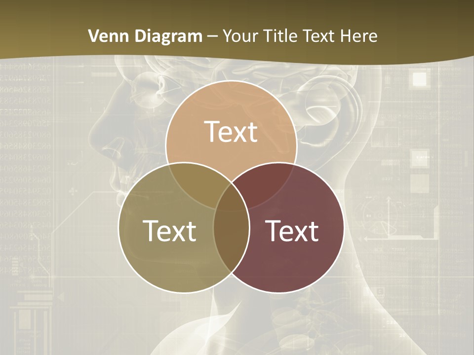 Anatomy Brain Cortex PowerPoint Template