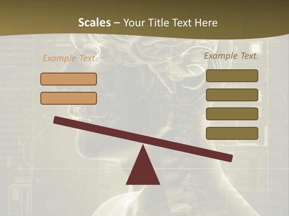 Anatomy Brain Cortex PowerPoint Template