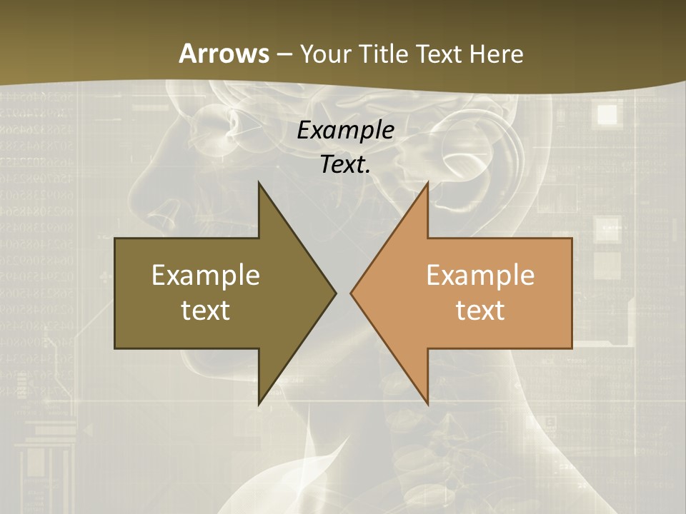 Anatomy Brain Cortex PowerPoint Template