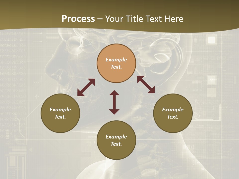 Anatomy Brain Cortex PowerPoint Template