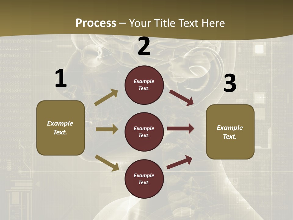 Anatomy Brain Cortex PowerPoint Template