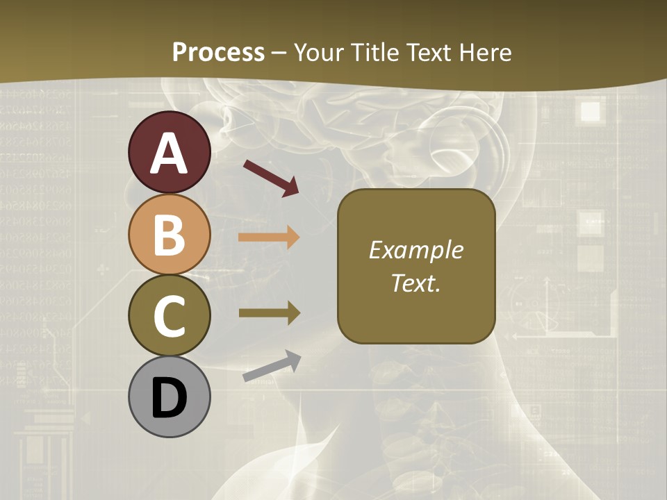 Anatomy Brain Cortex PowerPoint Template