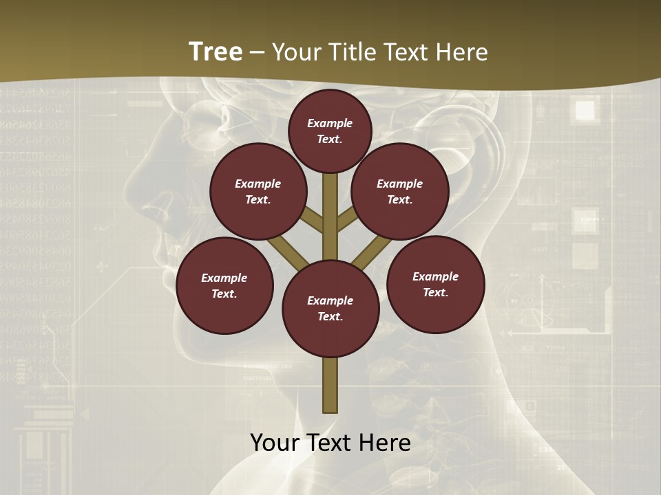 Anatomy Brain Cortex PowerPoint Template