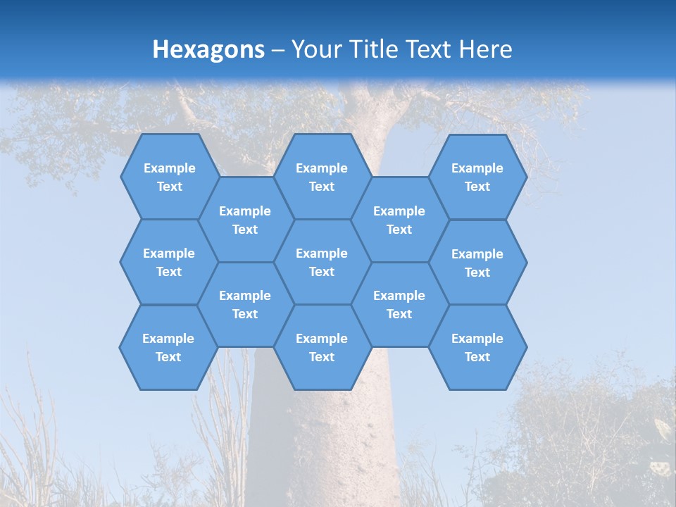 Wood Giant Anosy PowerPoint Template