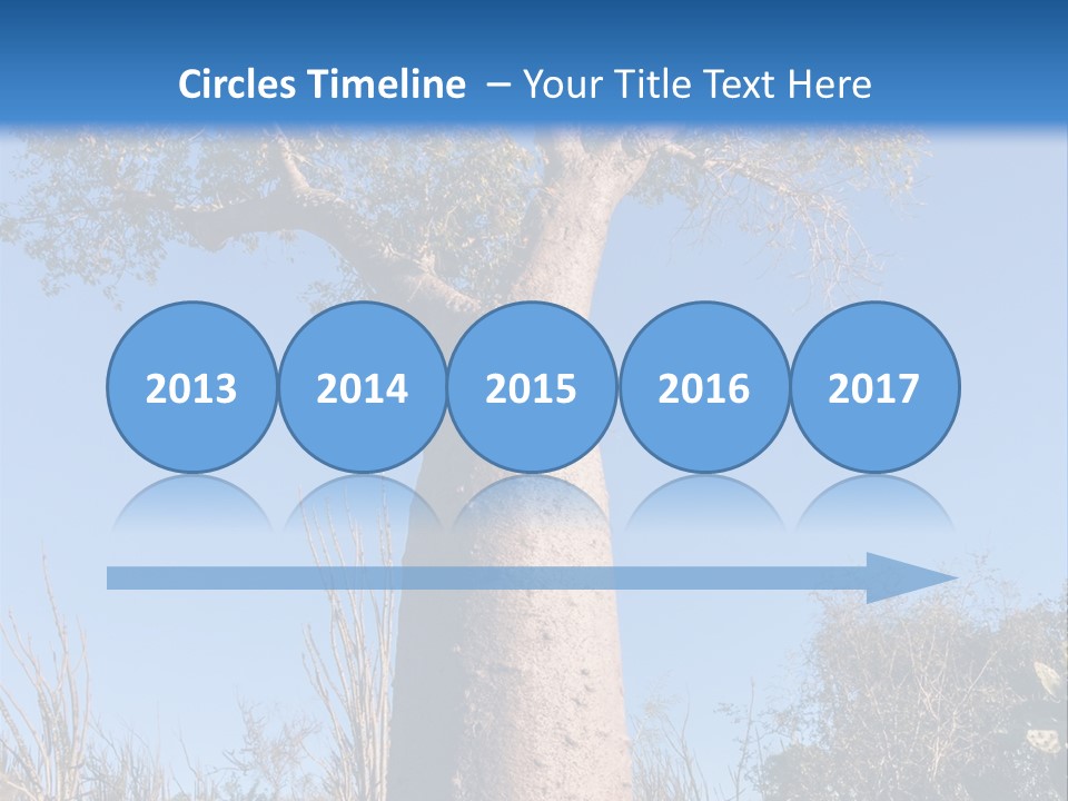 Wood Giant Anosy PowerPoint Template