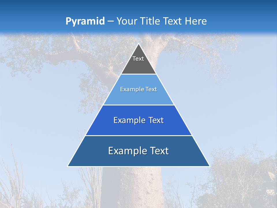 Wood Giant Anosy PowerPoint Template