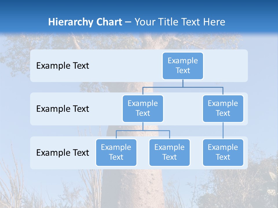 Wood Giant Anosy PowerPoint Template