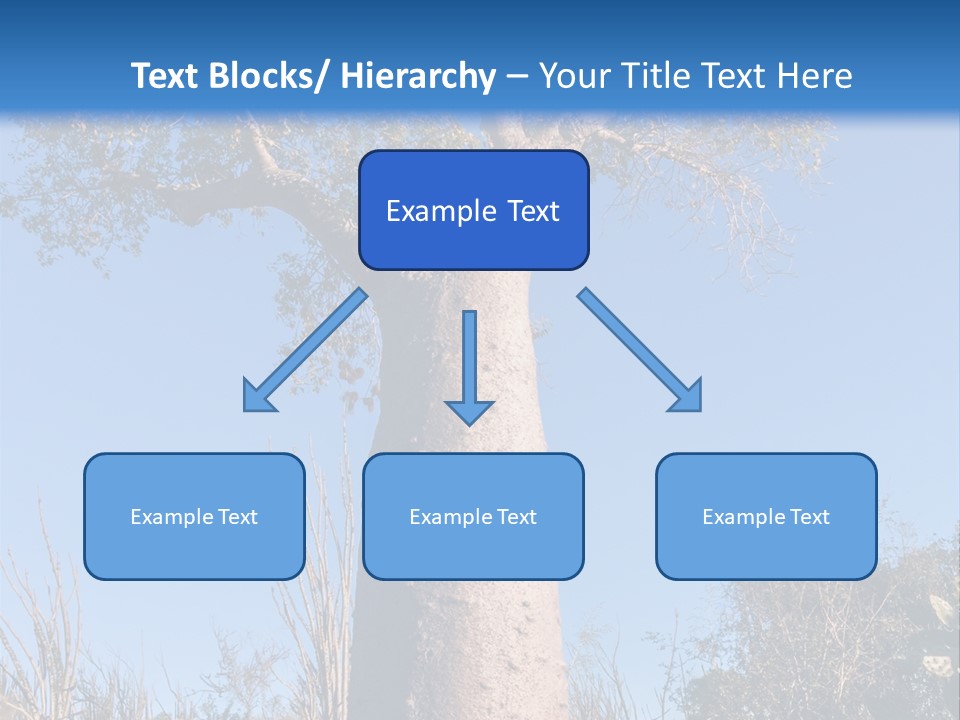 Wood Giant Anosy PowerPoint Template