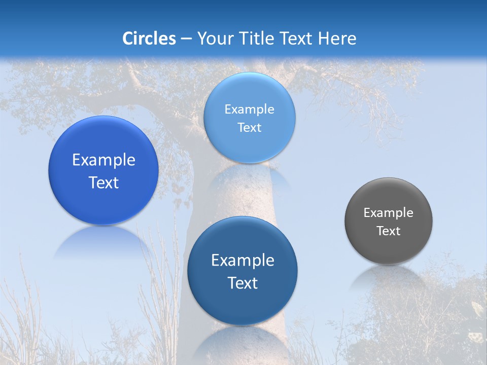 Wood Giant Anosy PowerPoint Template