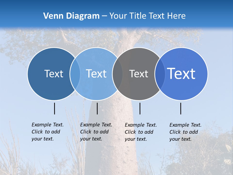 Wood Giant Anosy PowerPoint Template