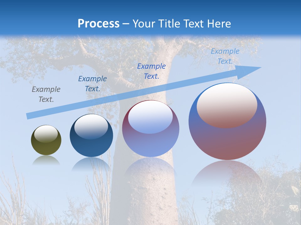 Wood Giant Anosy PowerPoint Template