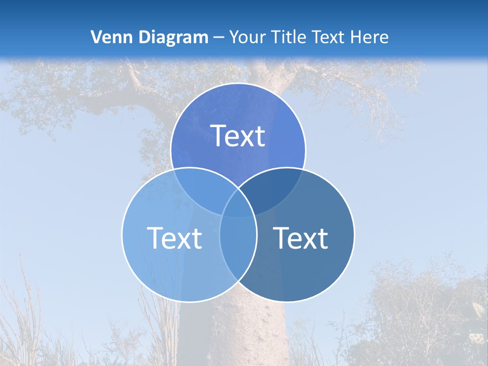 Wood Giant Anosy PowerPoint Template