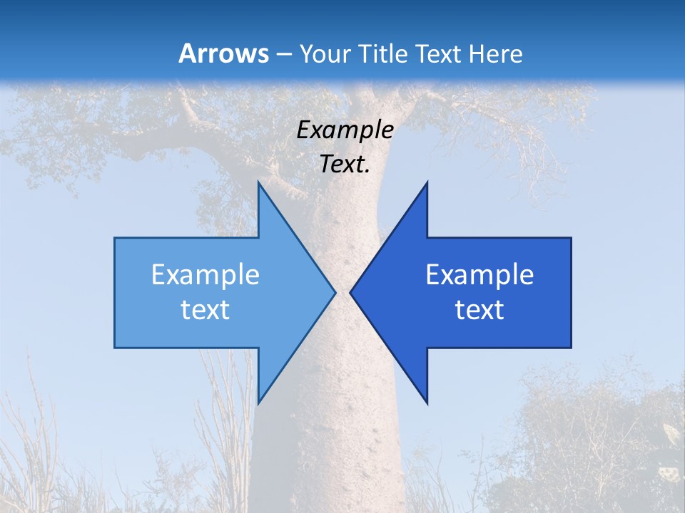 Wood Giant Anosy PowerPoint Template