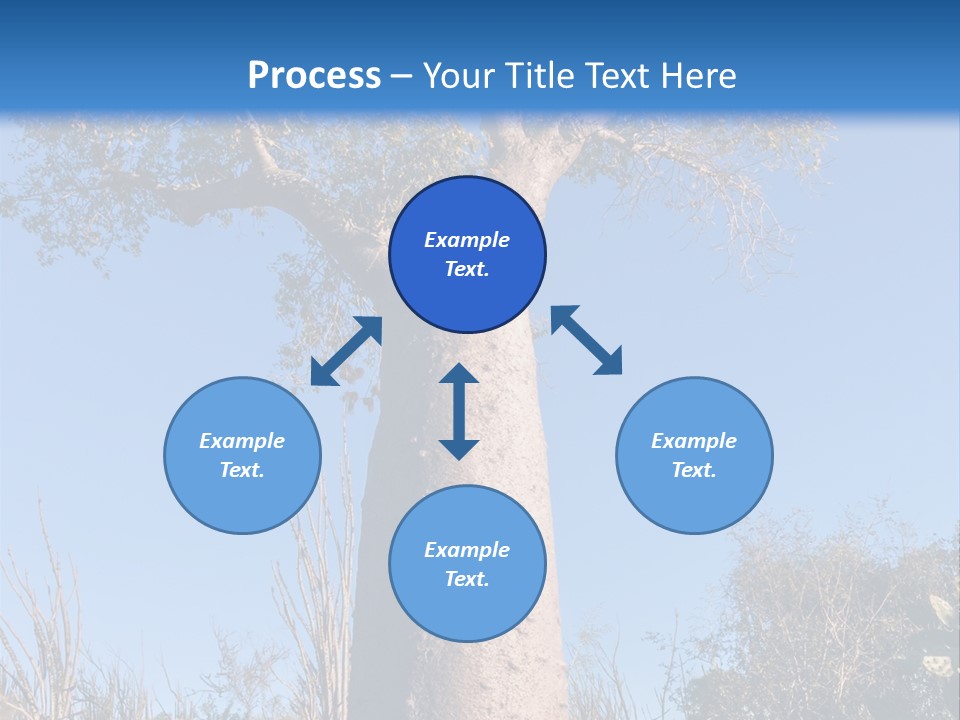 Wood Giant Anosy PowerPoint Template