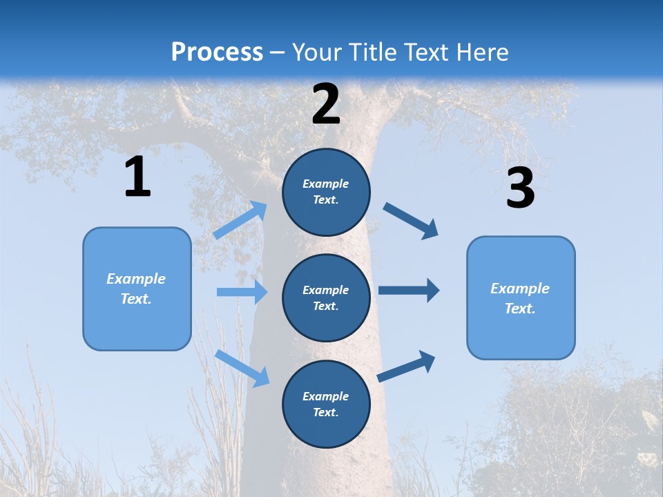 Wood Giant Anosy PowerPoint Template