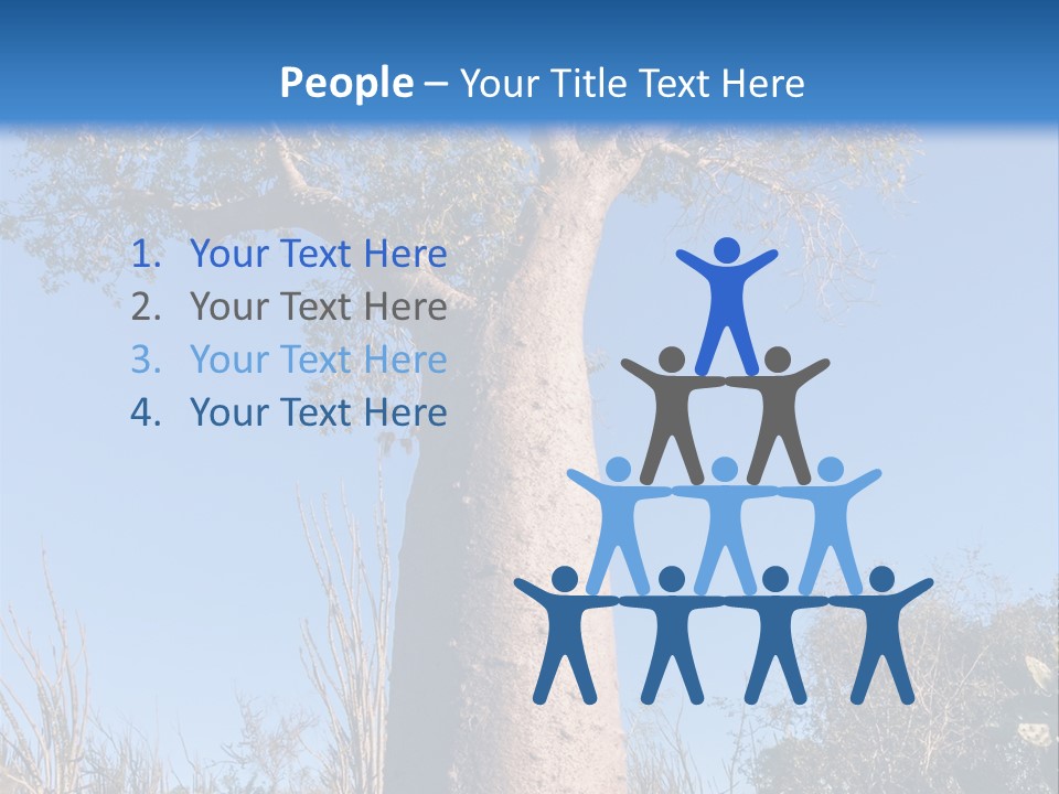 Wood Giant Anosy PowerPoint Template