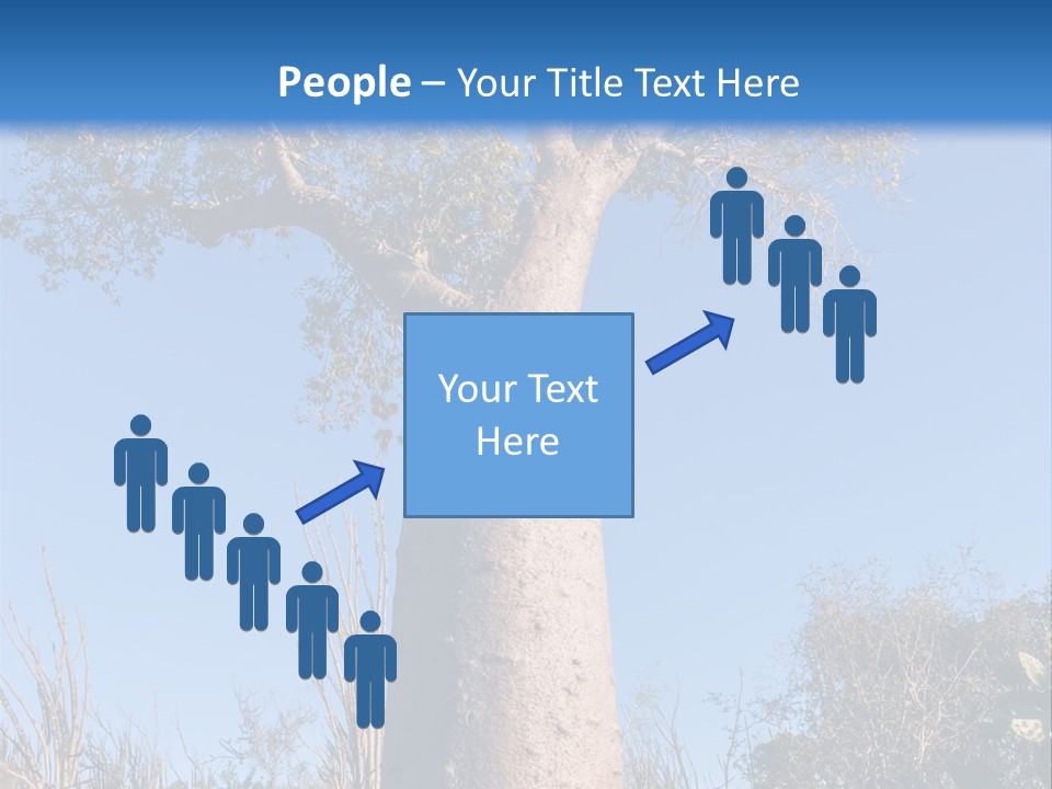 Wood Giant Anosy PowerPoint Template