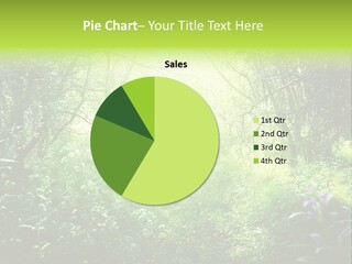 Shadow Tree Sunlight PowerPoint Template