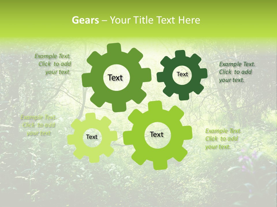 Shadow Tree Sunlight PowerPoint Template